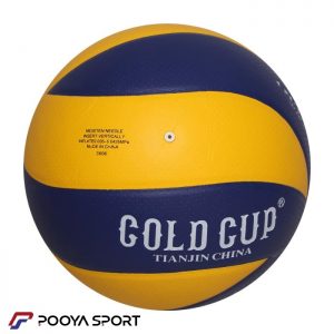 Gold Cup Volleyball Ball Model mgcv8