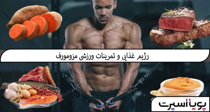 رژیم غذایی و برنامه ورزشی مناسب برای اکتومورف، مزومورف و اندومورف