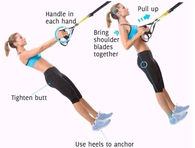 ورزشکار زن در حال اجرای حرکت قایقی یا رو با بند TRX برای عضلات پشت