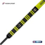 تیر دارت سوزنی حرفه ای تنگستن مایکل ون winmau MVG 85% Gerwen