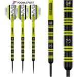 تیر دارت سوزنی حرفه ای تنگستن مایکل ون winmau MVG 85% Gerwen